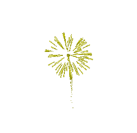 firework